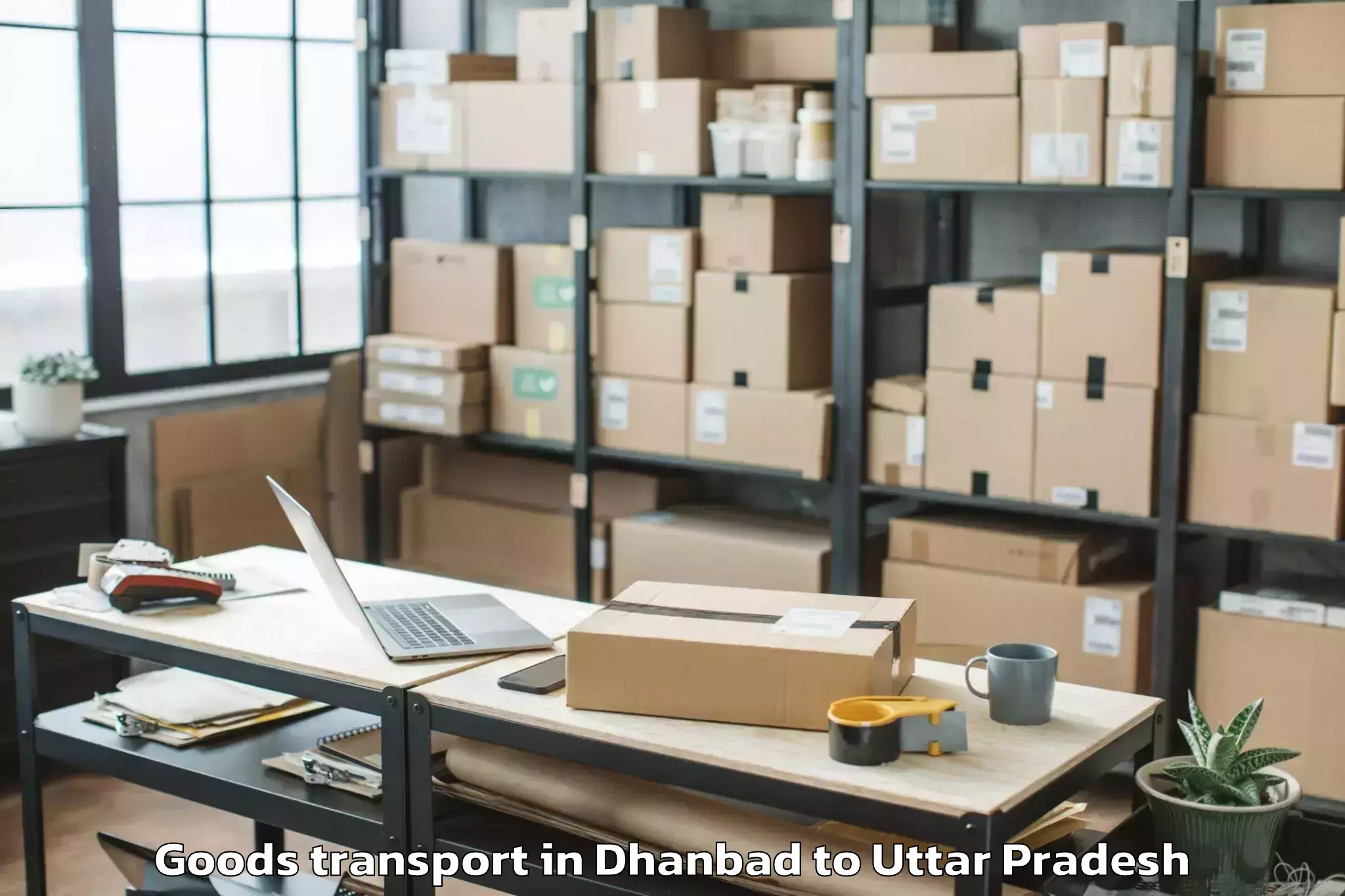 Efficient Dhanbad to Chandausi Goods Transport